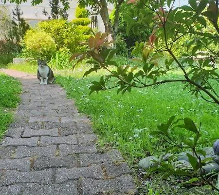 Zen Homestay *